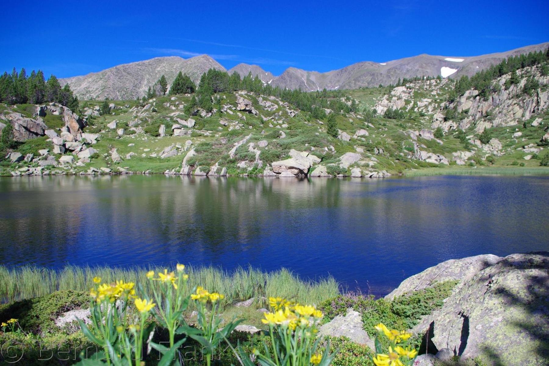 Ecureuil 2 Pers Au Coeur De La Montagne La Llagonne